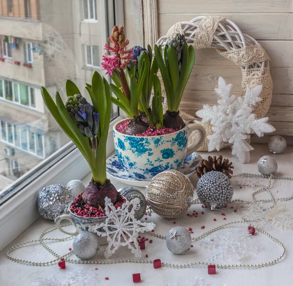 Hyacinths and Christmas decorations — Stock Photo, Image