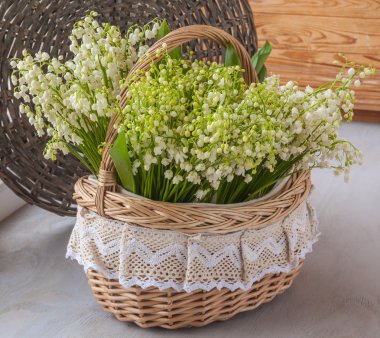 Vadinin lilyum sepeti