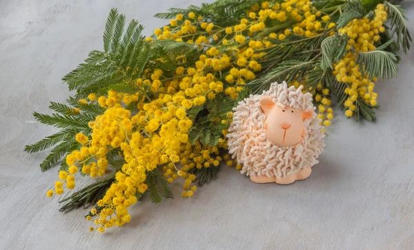 Mimoza ve kuzu Paskalya arka plan — Stok fotoğraf