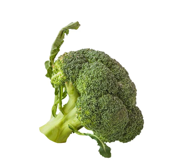 Fresh ripe Broccoli — Stock Photo, Image