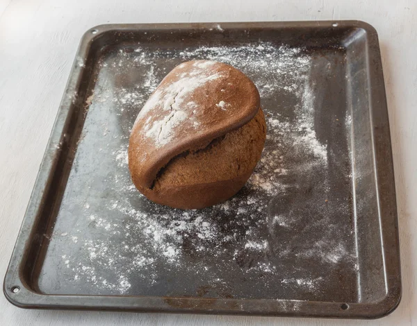 Frisches Roggenbrot — Stockfoto