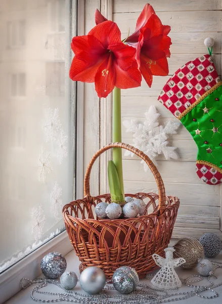 Brinquedos de Natal e Hippeastrum vermelho — Fotografia de Stock