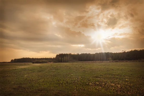 Sunset on spring field — Stock Photo, Image