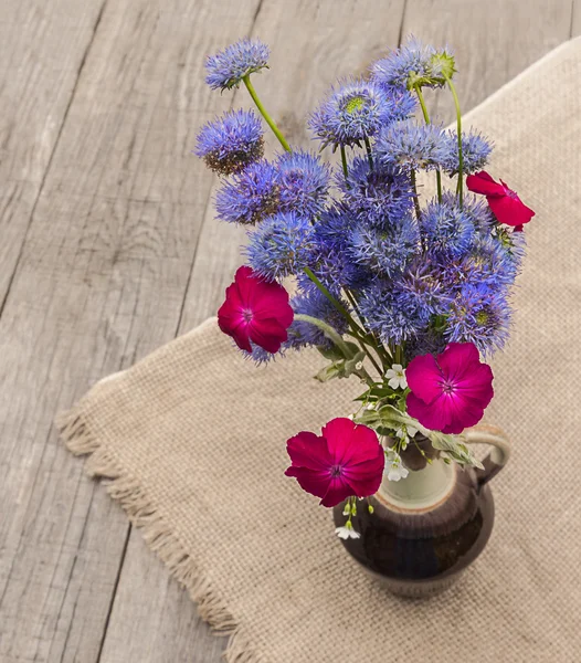 Bouquet di fiori globulari blu — Foto Stock