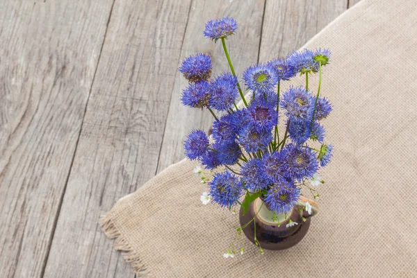 Bouquet de fleurs globuleuses bleus — Photo