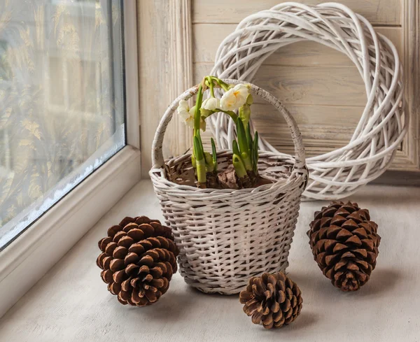Vinter fönster med påskliljor — Stockfoto
