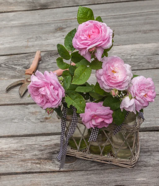Ramo de rosas silvestres —  Fotos de Stock
