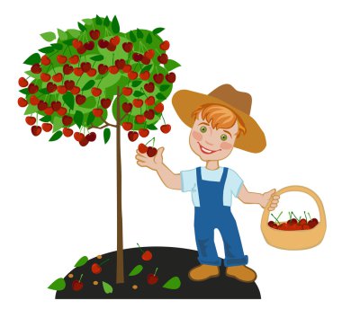 çocuk mutlu çiftçi kiraz toplar