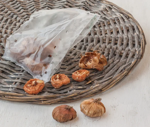 Gladiolus bulbs in bag — Stock Photo, Image