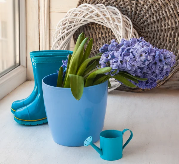 Blue hyacinth, boots and decorative watering can — Stock Photo, Image