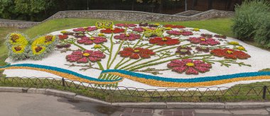 çiçek peyzaj park Kiev'de göster: