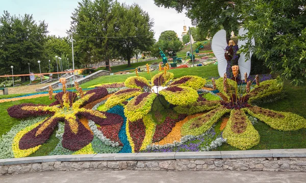 Çiçek peyzaj park Kiev'de göster: — Stok fotoğraf