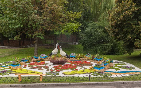 Flower Show Parque del Paisaje en Kiev — Foto de Stock