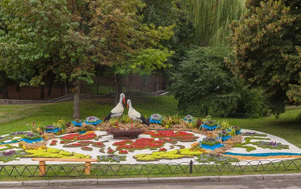 Flower Show Landscape Park in Kiev — Stock Photo, Image