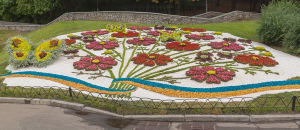 Çiçek peyzaj park Kiev'de göster: — Stok fotoğraf