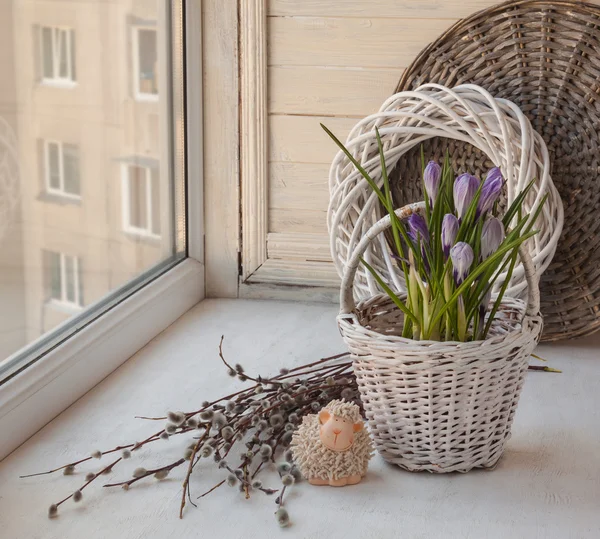 Spring still life with crocuses — Stock Photo, Image