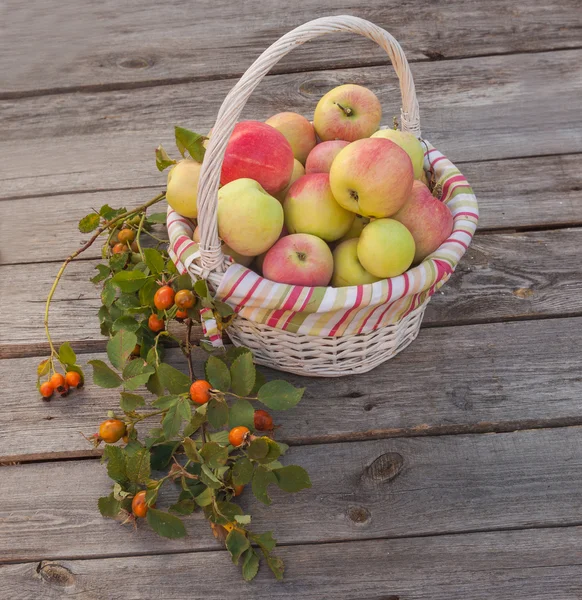 Cesta con manzanas y una rama de rosal silvestre — Foto de Stock