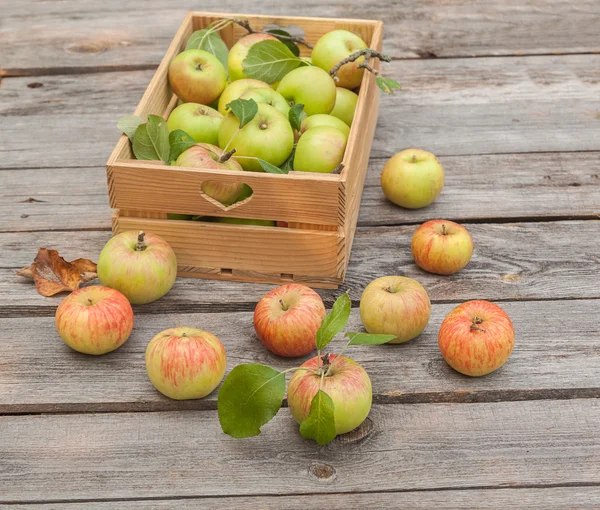 Manzanas frescas en caja sobre mesa de madera — Foto de Stock