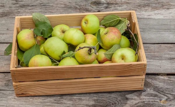 Pommes fraîches en boîte sur table en bois — Photo