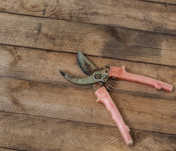 Old garden pruner — Stock Photo, Image