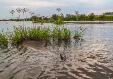 Akşam Teterev nehrinde