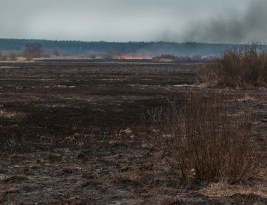 Teterev Nehri vadisinde yangın
