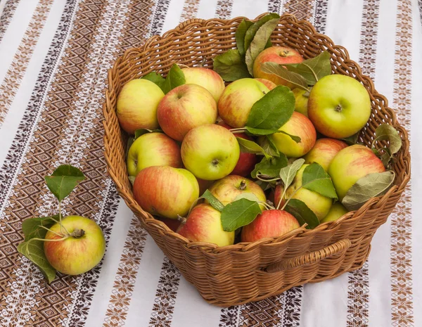 Корзина с яблоками на столе — стоковое фото