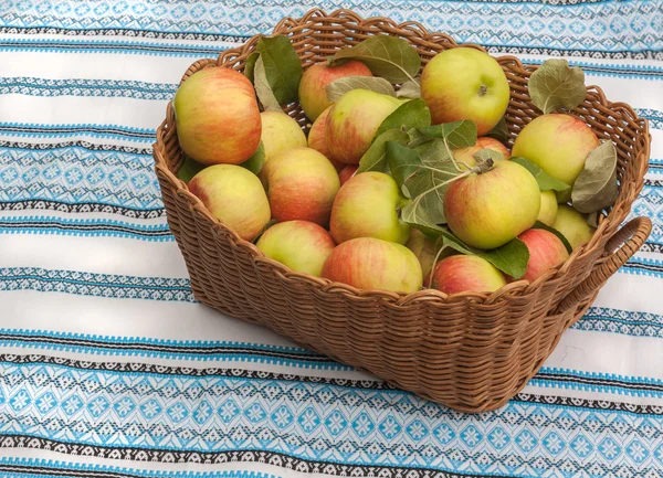 Korg med äpplen på ett bord — Stockfoto