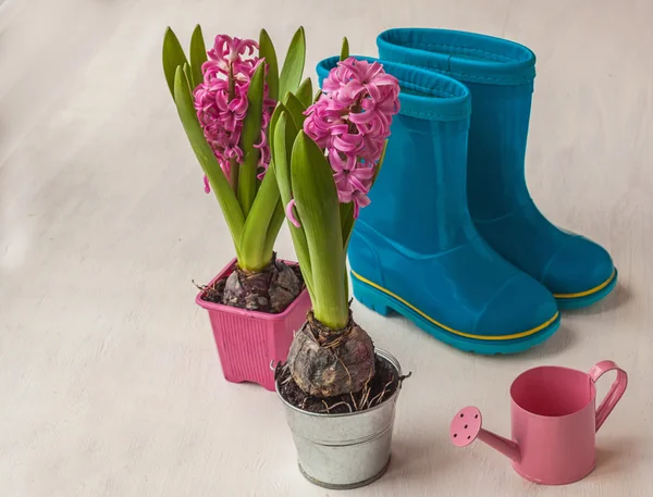 Watering can, hyacinths and rubber boots — Stock Photo, Image