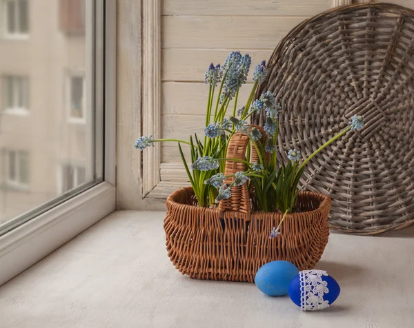 Muscari azul em uma cesta e ovos de Páscoa — Fotografia de Stock