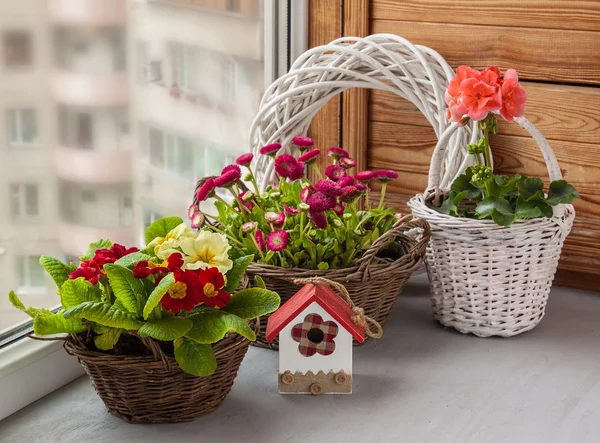 Våren sammansättning av blommor i korgar — Stockfoto