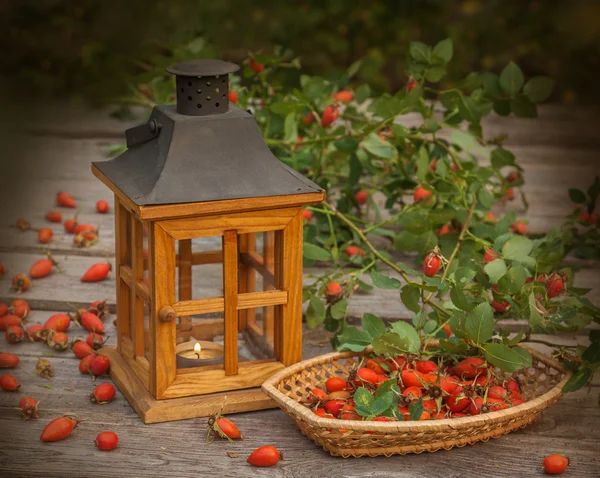 木制灯笼和玫瑰果 — 图库照片