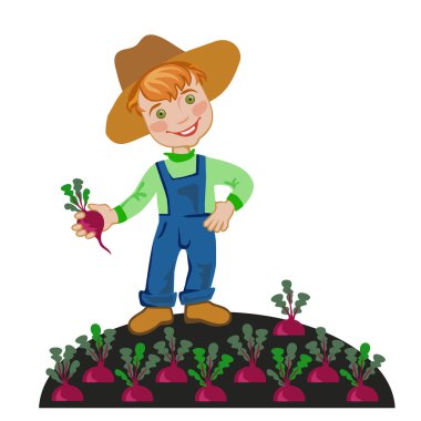 çiftçinin pancar büyür