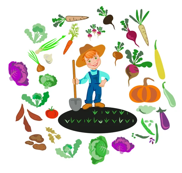 Zemědělec pěstuje zeleninu. — Stockový vektor