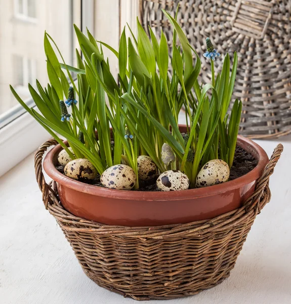 Decoración de la ventana de Pascua — Foto de Stock