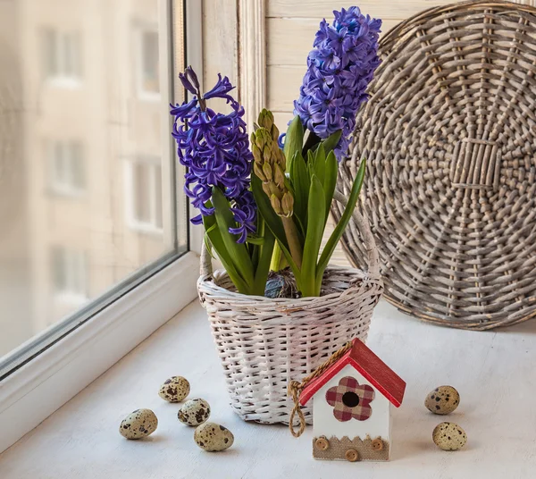 Composición de Pascua con huevos y jacintos en una cesta — Foto de Stock