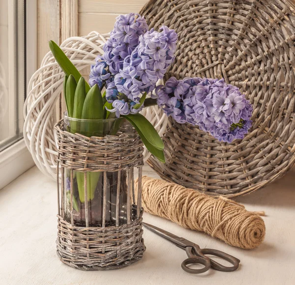 Hyazinthen und Schere im Fenster — Stockfoto