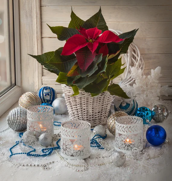 Decoraciones de Navidad en la ventana —  Fotos de Stock