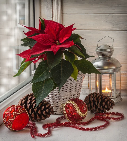 Weihnachtsschmuck am Fenster — Stockfoto