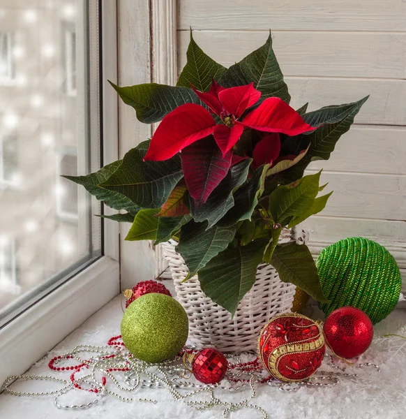Decorazioni natalizie sulla finestra — Foto Stock