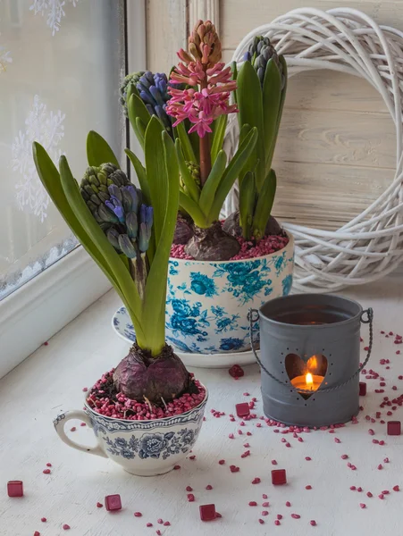 Hyacinten in vintage potten — Stockfoto