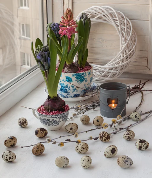 Hyacinths in vintage cups — Stock Photo, Image