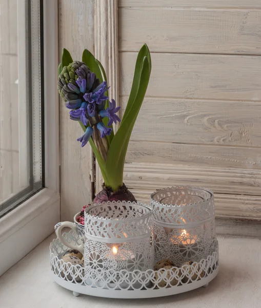 Hyacinths em copos vintage e castiçais — Fotografia de Stock
