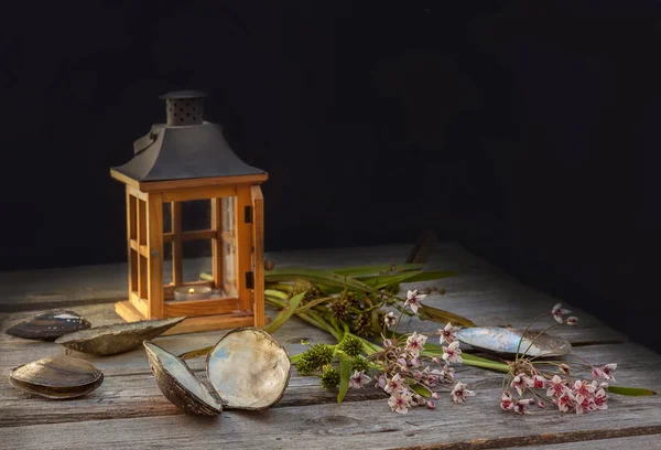 Lampe, Fluss-Muscheln und Blumen — Stockfoto