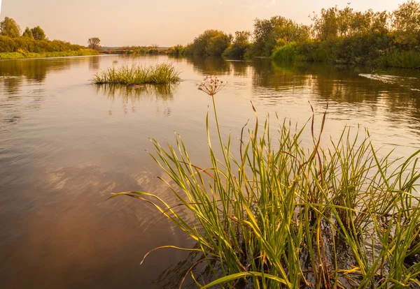 Uitzicht op de rivier Teterev — Stockfoto