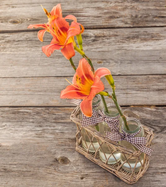 Salmon-colored Daylilies in glass jars — Stock Photo, Image