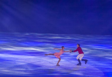 Artistik Patinaj Avrupa şampiyonu