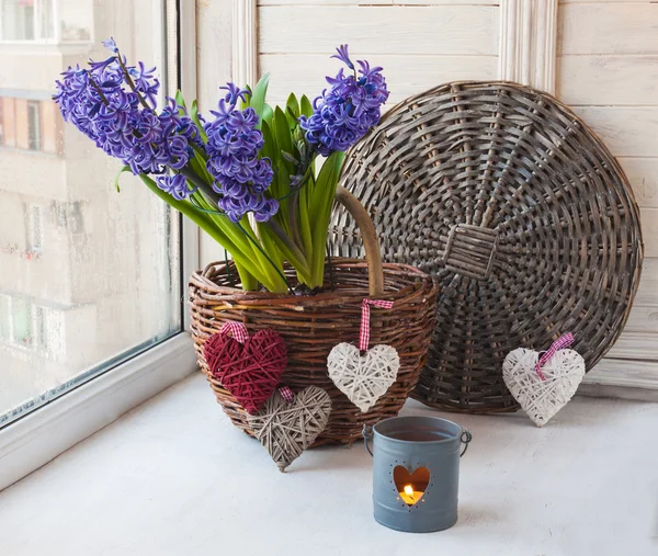 Hyacinter i en korg, dekorerat med hjärtan — Stockfoto