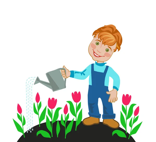 Boy watering tulips — Stock Vector