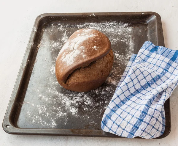 Tabatiere de pão de centeio no tabuleiro do forno — Fotografia de Stock